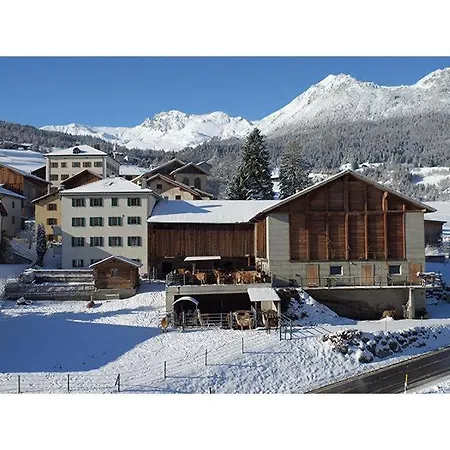 Hof Collet Apartment Savognin